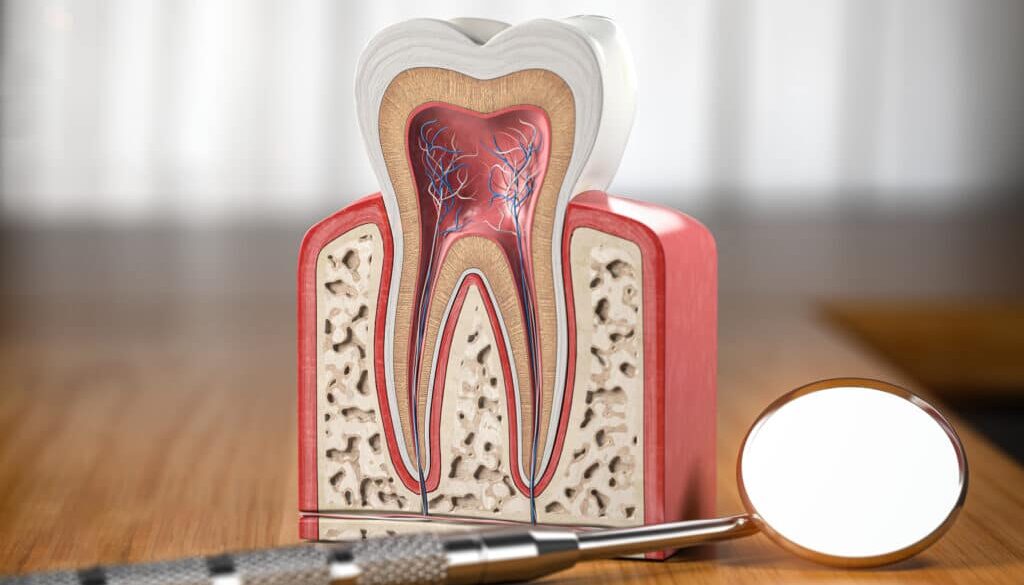 root-canal-awareness-week-what-orem-patients-should-know
