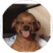 Grisel Diez Avatar
