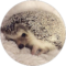 Madelyn Gee Avatar